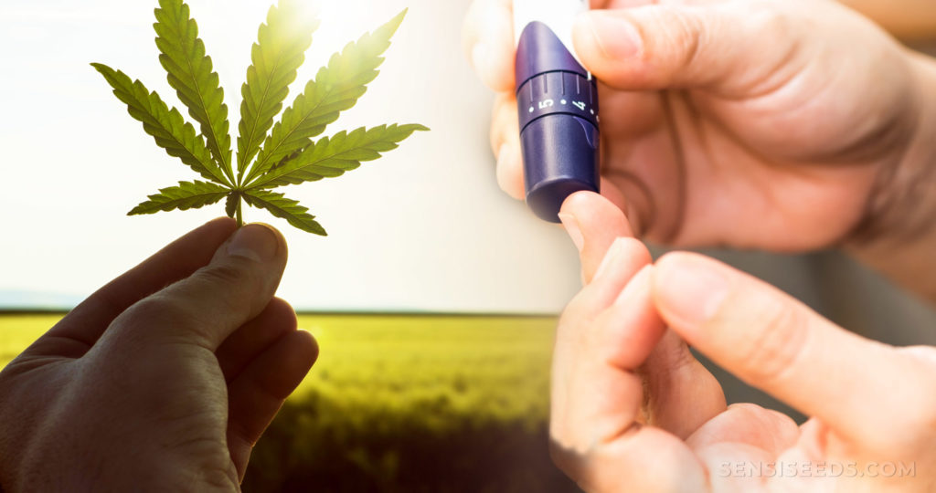 How CBD Oil Is Beneficial In Diabetes?