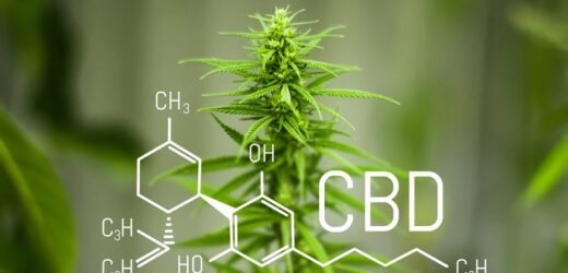 CBD: What is it and how can it be used For Effectiveness?