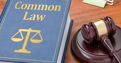 How a common law court works?