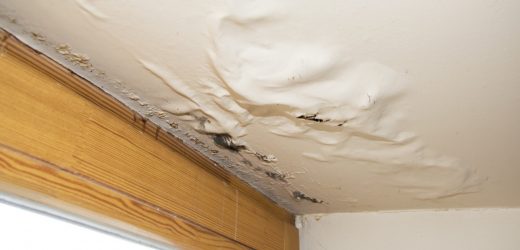 Signs Of Hidden Water Damage: What To Look Out For